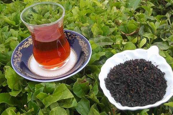 خرید چای ایرانی خوب + قیمت فروش استثنایی
